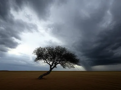 Illustration humbled - Image 1