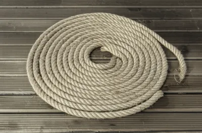 Illustration flemish