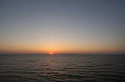 Illustration appearing - Image 1