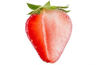 Illustration coated - Image 1