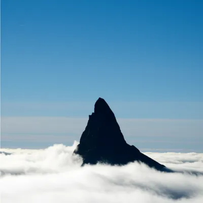 Illustration high - Image 1