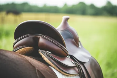 Illustration cantle - Image 1