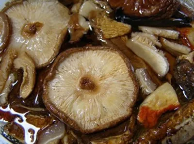 Illustration reconstitute - Image 2