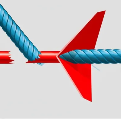 Illustration transverse