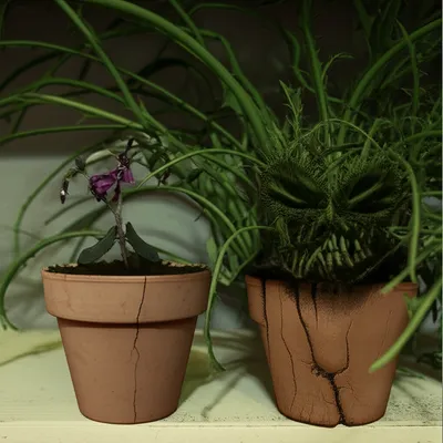 Illustration diss - Image 1