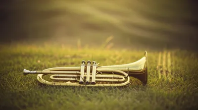 Illustration mottes - Image 1