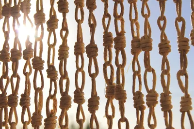 Illustration knots - Image 2