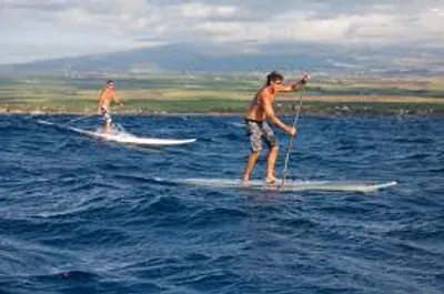 Illustration glide - Image 2