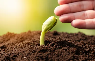 Illustration continues - Image 1