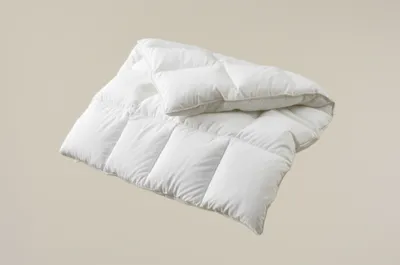 Illustration inner - Image 1