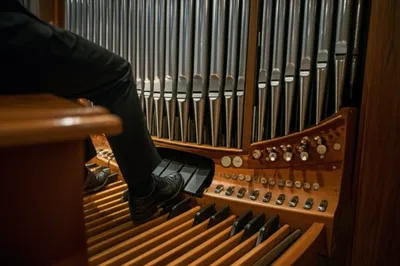 Illustration pedals - Image 1