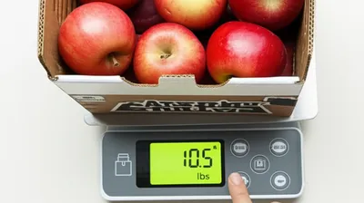 Illustration tare - Image 1