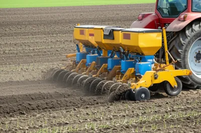 Illustration planter - Image 1