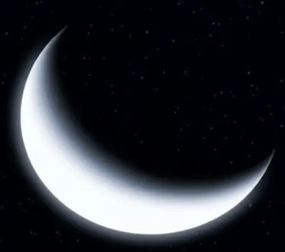 Illustration lenses - Image 1