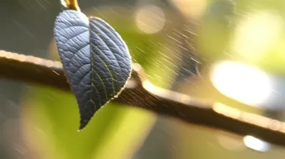 Illustration quavers - Image 1