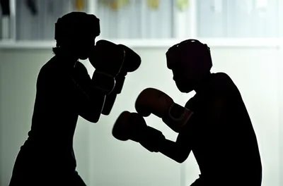 Illustration sparred - Image 1