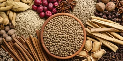 Illustration spices - Image 1