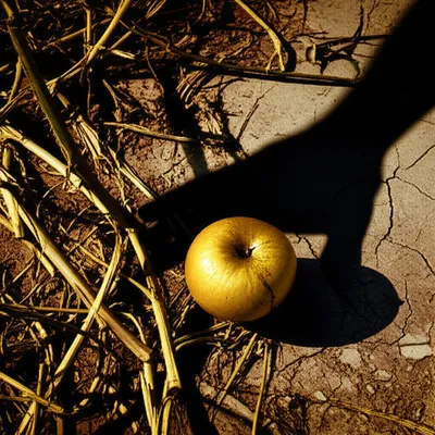 Illustration crimes - Image 1