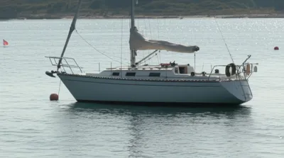 Illustration swung - Image 1