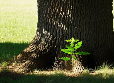 Illustration bastard - Image 1