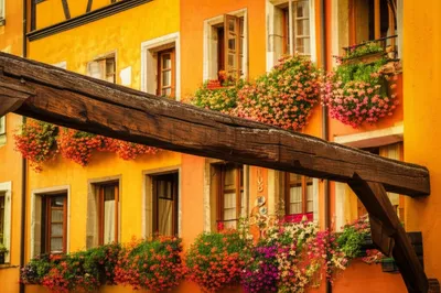 Illustration summer - Image 1