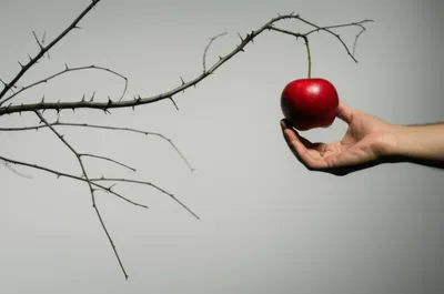 Illustration sin - Image 1