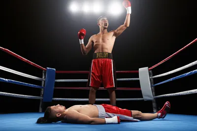 Illustration wallop - Image 1