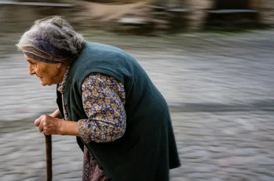 Illustration trot - Image 1