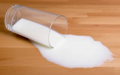 Illustration canted - Image 1