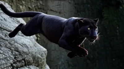 Illustration bound - Image 1