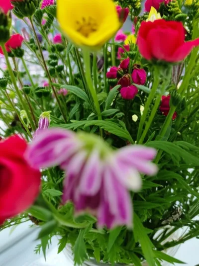 Illustration inessential - Image 1