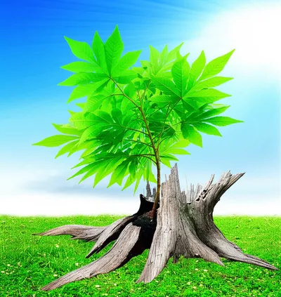 Illustration displaced - Image 1