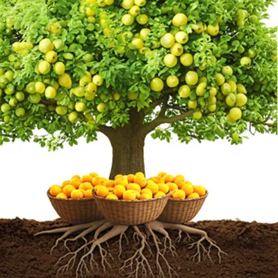 Illustration profits - Image 1