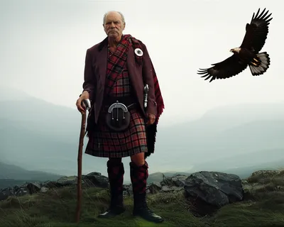 Illustration laird - Image 1