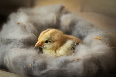 Illustration piles - Image 1