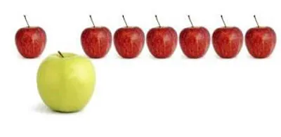 Illustration phenomenon - Image 2