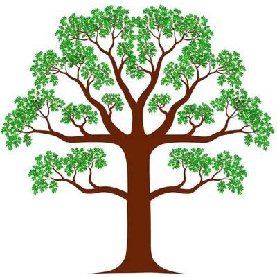 Illustration stems - Image 1