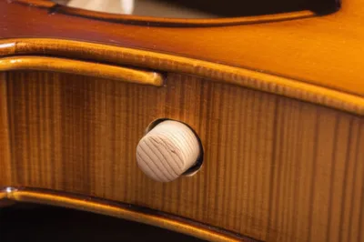 Illustration spike - Image 1