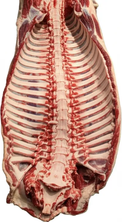 Illustration chine - Image 1