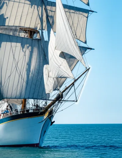 Illustration leaches - Image 1