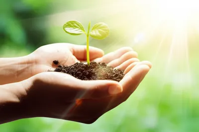 Illustration prizes - Image 1