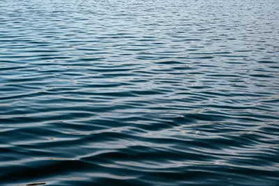 Illustration fretted - Image 1