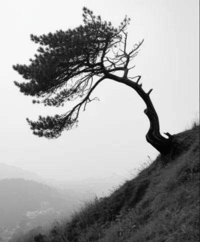 Illustration inclinations