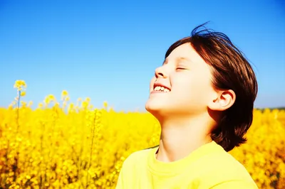 Illustration shines - Image 1