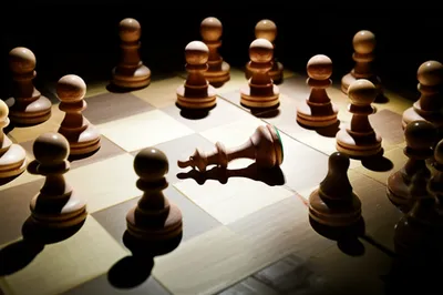 Illustration skunk - Image 1