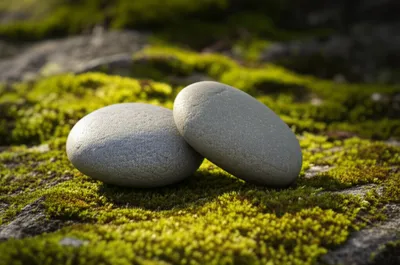 Illustration rocks - Image 1