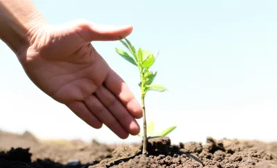 Illustration behind - Image 1