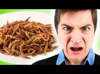 Illustration repulse - Image 1