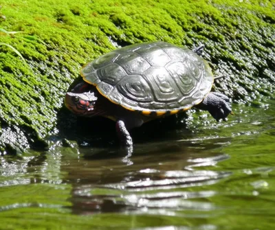 Illustration sliders - Image 1