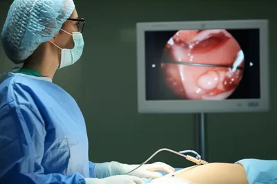 Illustration lap - Image 1